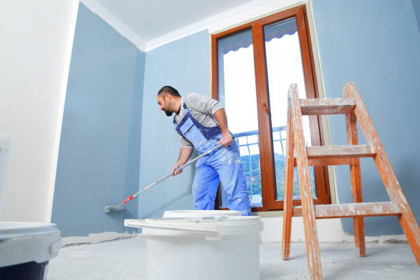 Best Black Mold Removal  in Collinsville, MS