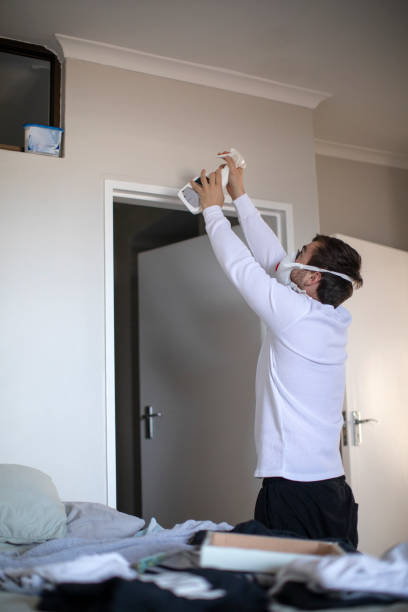 Reliable Collinsville, MS Mold Removal Solutions