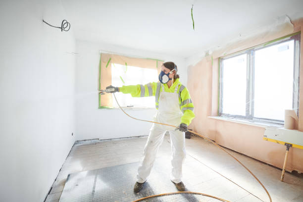 Mold Removal for HVAC Installations in Collinsville, MS