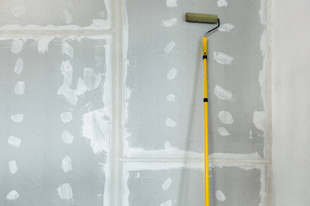 Best Mold Removal for HVAC Installations  in Collinsville, MS
