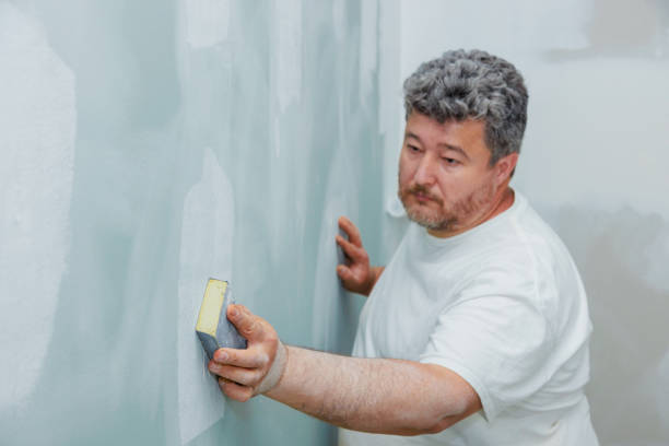 Best Mold Damage Restoration  in Collinsville, MS