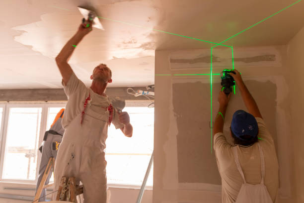 Best Environmental Consulting for Mold Prevention  in Collinsville, MS