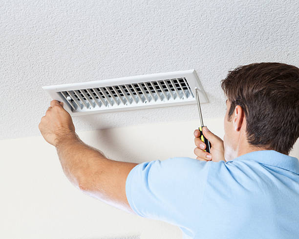 Best Basement Mold Removal  in Collinsville, MS