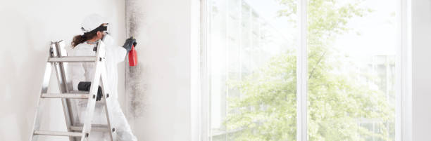 Mold Remediation for Vacation Homes in Collinsville, MS