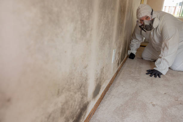 Best Indoor Air Quality Assessment  in Collinsville, MS