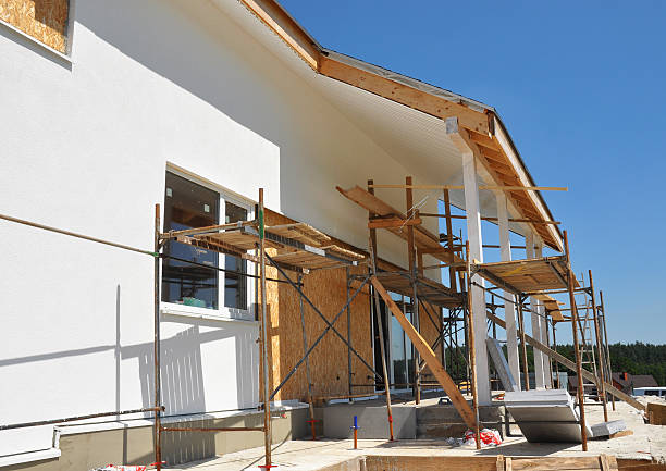 Best Emergency Mold Remediation  in Collinsville, MS