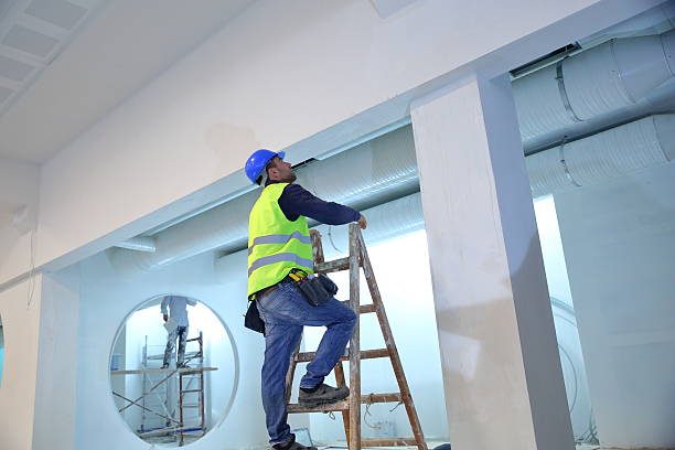 Best Crawl Space Mold Remediation  in Collinsville, MS