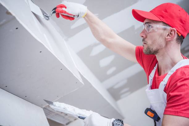 Best Asbestos and Lead Testing During Mold Inspection  in Collinsville, MS