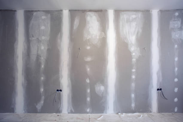 Best Forensic Mold Investigation  in Collinsville, MS