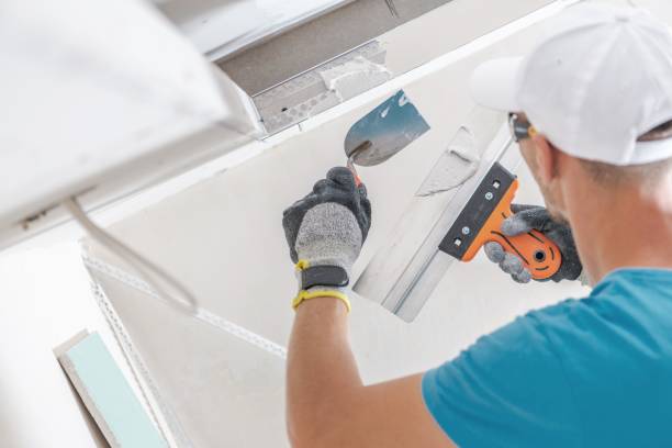 Best Biohazard Mold Removal  in Collinsville, MS